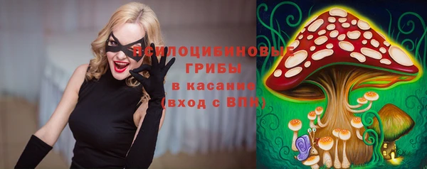 прущие крисы Балахна