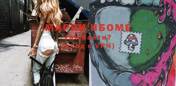 хмурый Нея