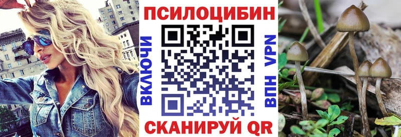 цены   Дальнегорск  Галлюциногенные грибы Psilocybe 