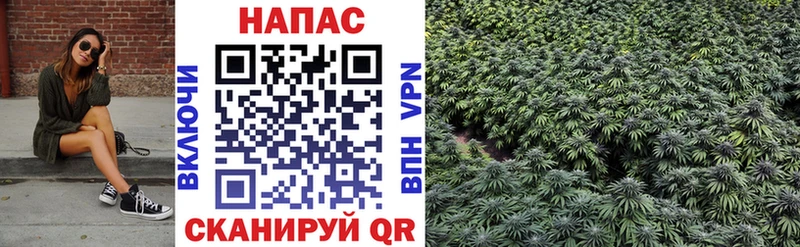 Каннабис индика Дальнегорск
